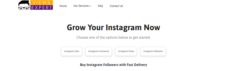 ViewsExpert - Instagram 팔로어 구매