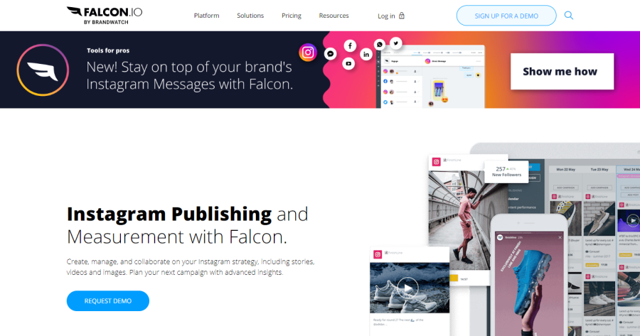 Falcon.io - analize instagram