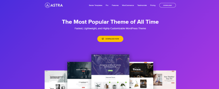 Astra - tema WordPress terbaik