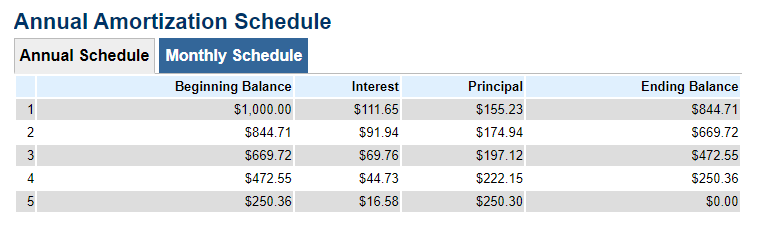 Annual Amoritization Schedule