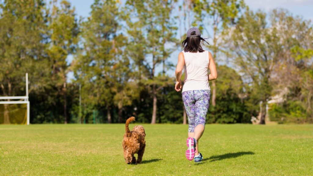 Giornata nazionale olistica degli animali domestici