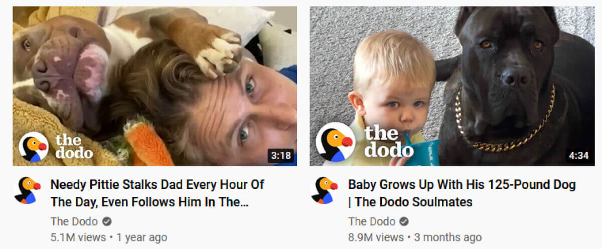 youtube-doggo-videos-you-tube-titles