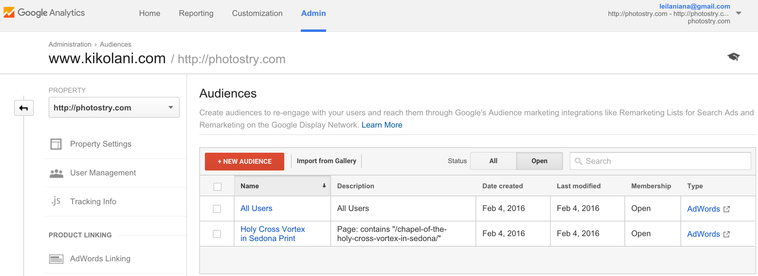 Capture d'écran de Google Adwords