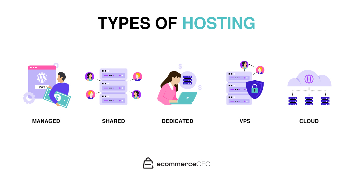 Types of Web Hosting