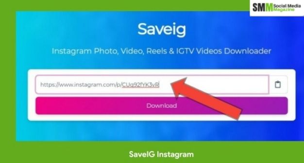 SaveIGを使用して投稿、写真、ビデオ、IGTV、およびリールをダウンロードする