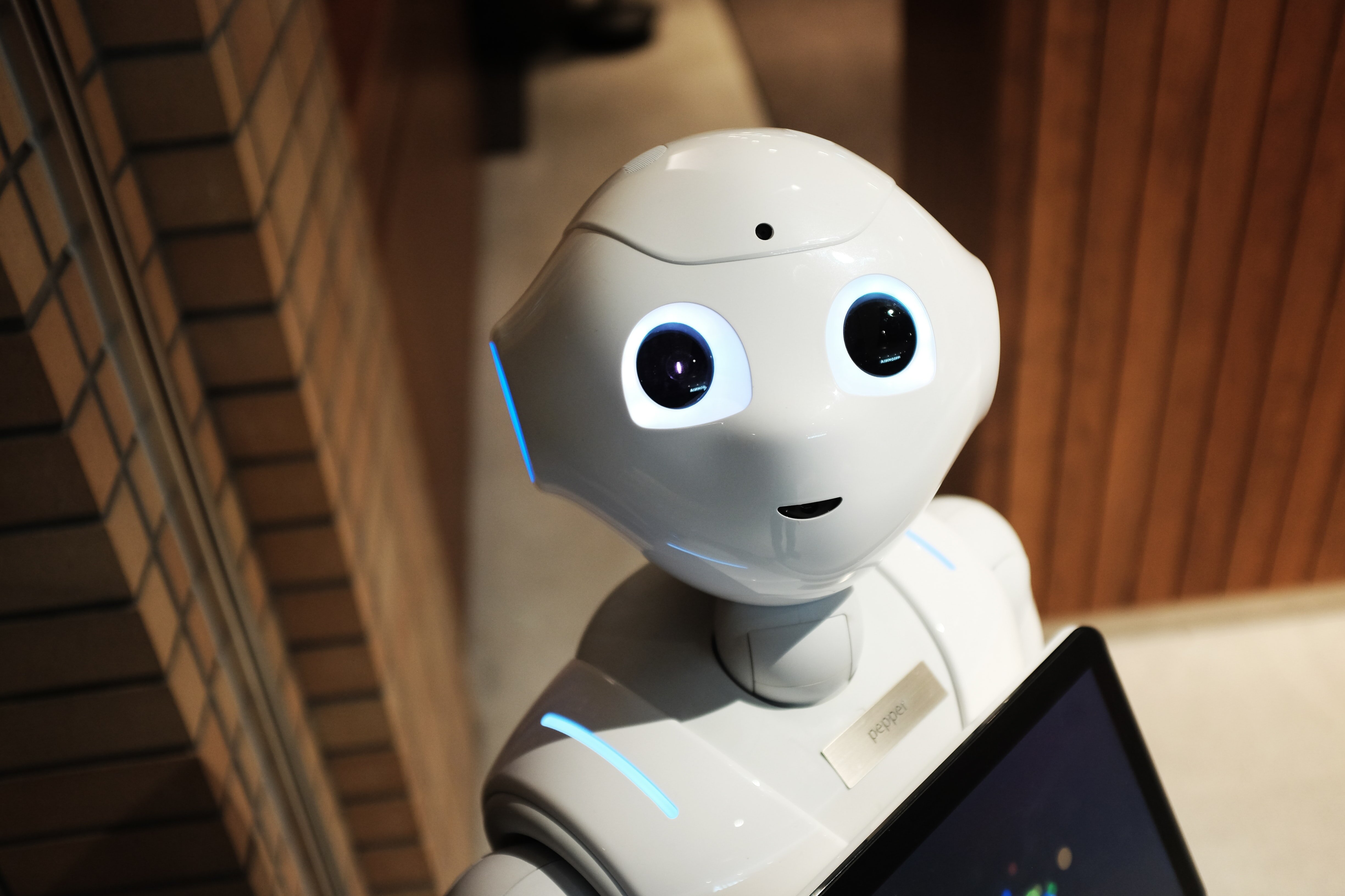 Chatbot AI kullanan bir robotun dost canlısı yüzü. ChatGPT'nin geleceği bu mu?