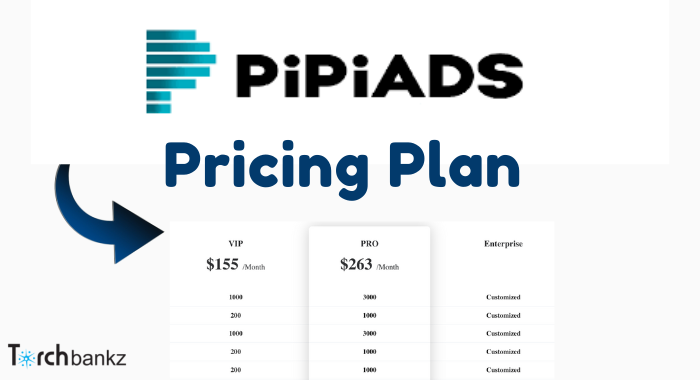 Plan de precios de PiPiads