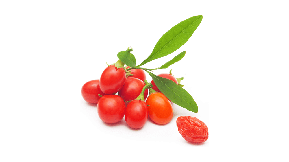 Earthcare Seeds Tibetan Goji Berry 100 Biji