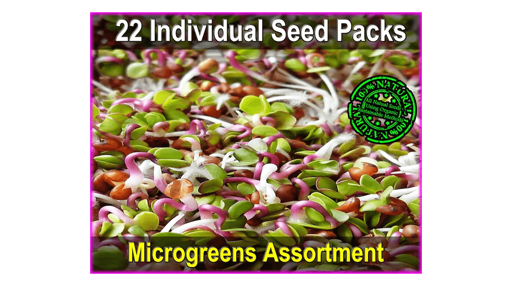 Surtido Microgreen - Mezcla Microgreen de 11 Variedades - Banco de Semillas de Supervivencia de Emergencia - Semillas No GMO - Semillas Vegetales