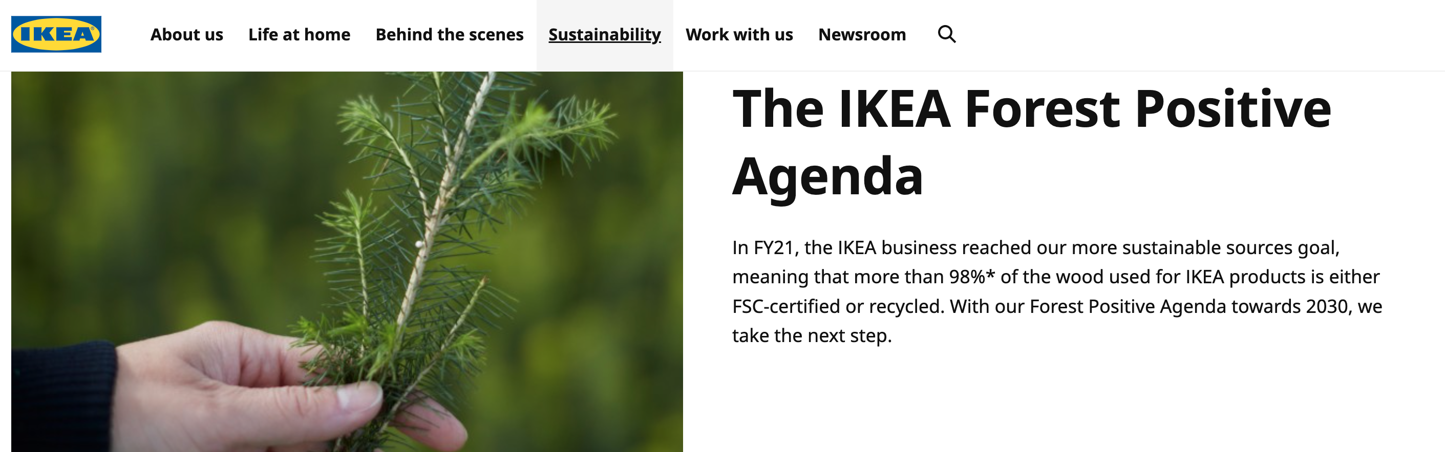 Página del sitio web de la agenda forestal de IKEA