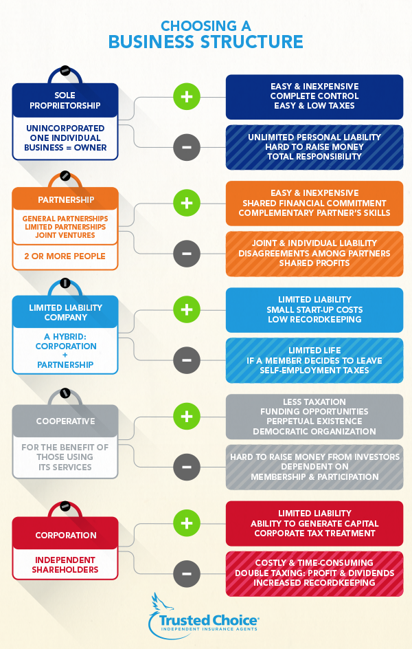 Infografica su diverse strutture aziendali