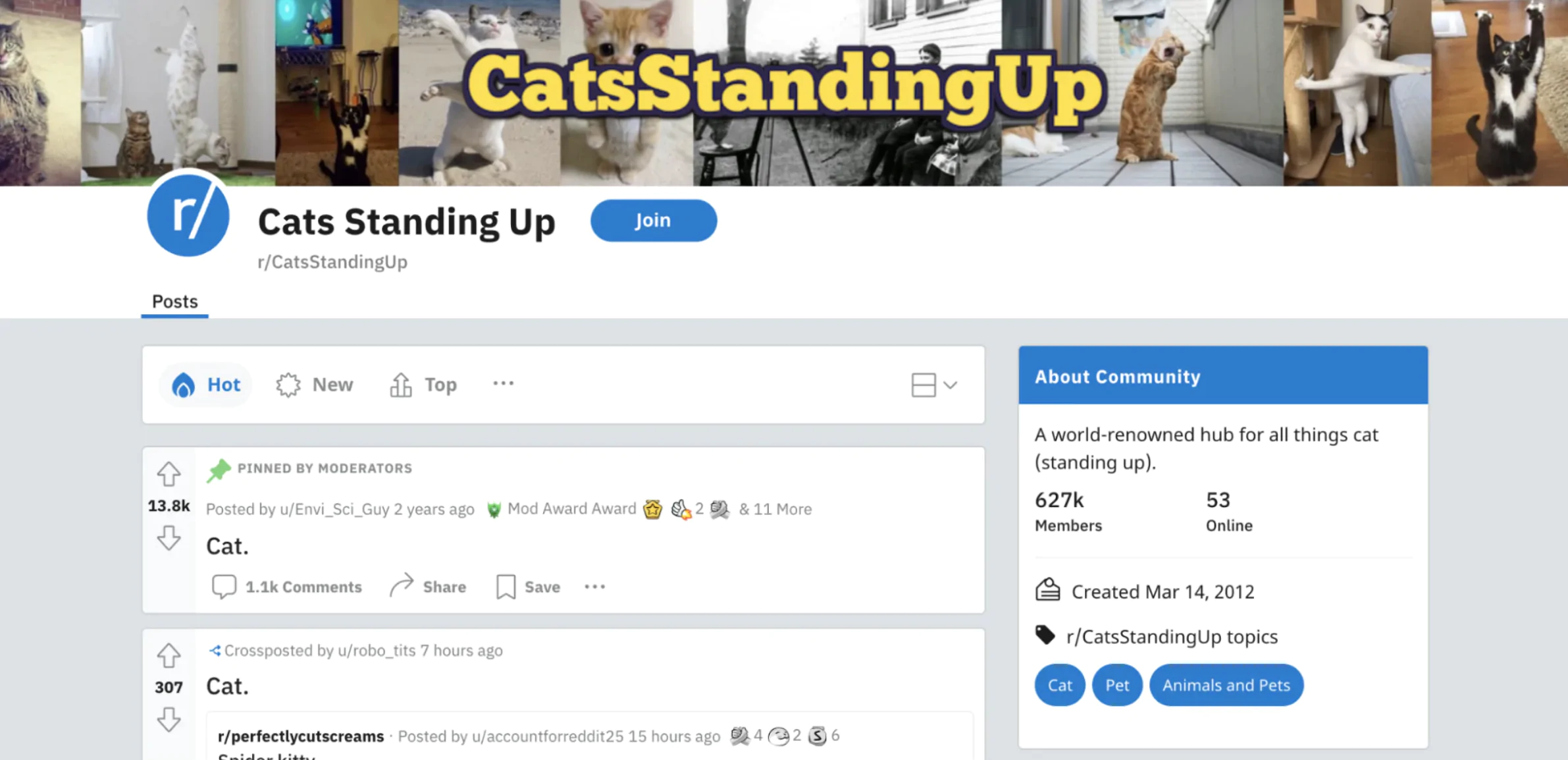 Przykład subreddita o nazwie Cats Standing Up na Reddit