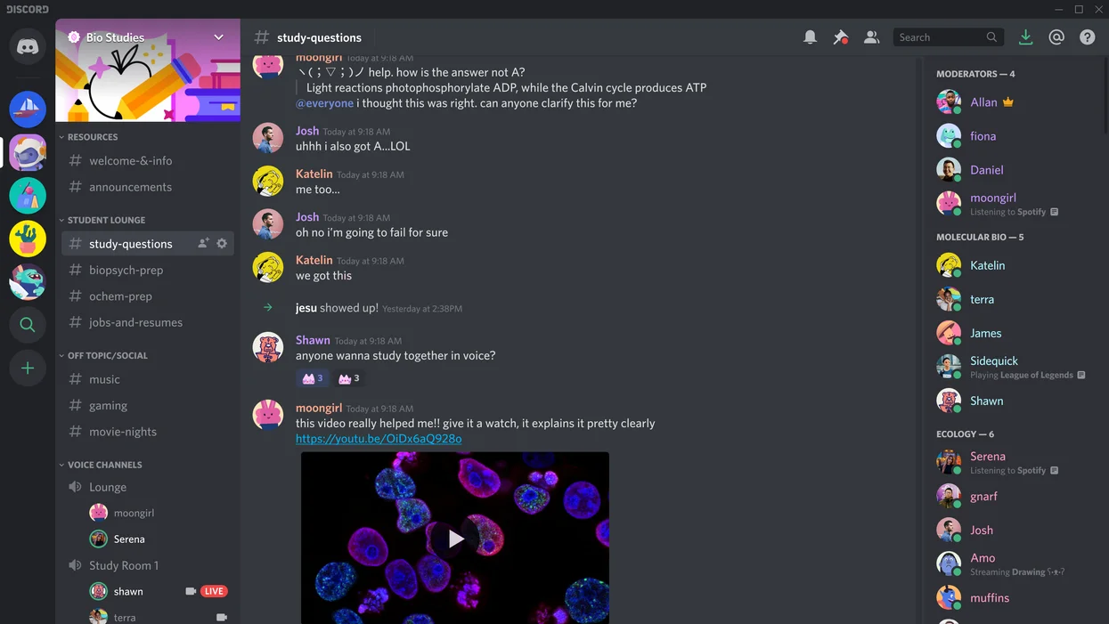 Przykład serwera Discord