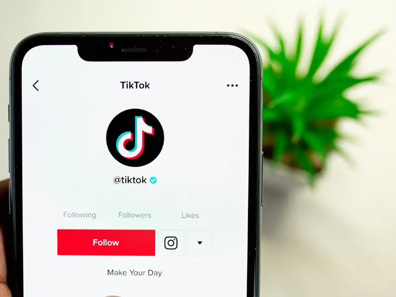 Comment gagner de l'argent sur TikTok - Abonnés TikTok