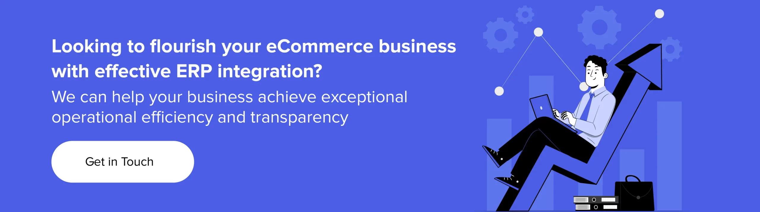 Flourish your eCommerce business with effective ERP integration