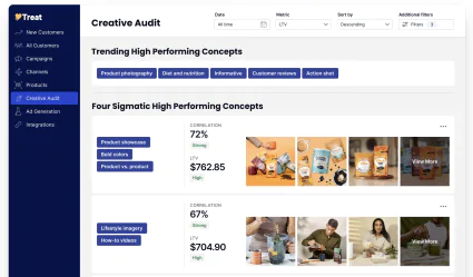 Ein Screenshot von der Treat Beta-Website, der die KI-Funktion „Creative Audit“ zeigt