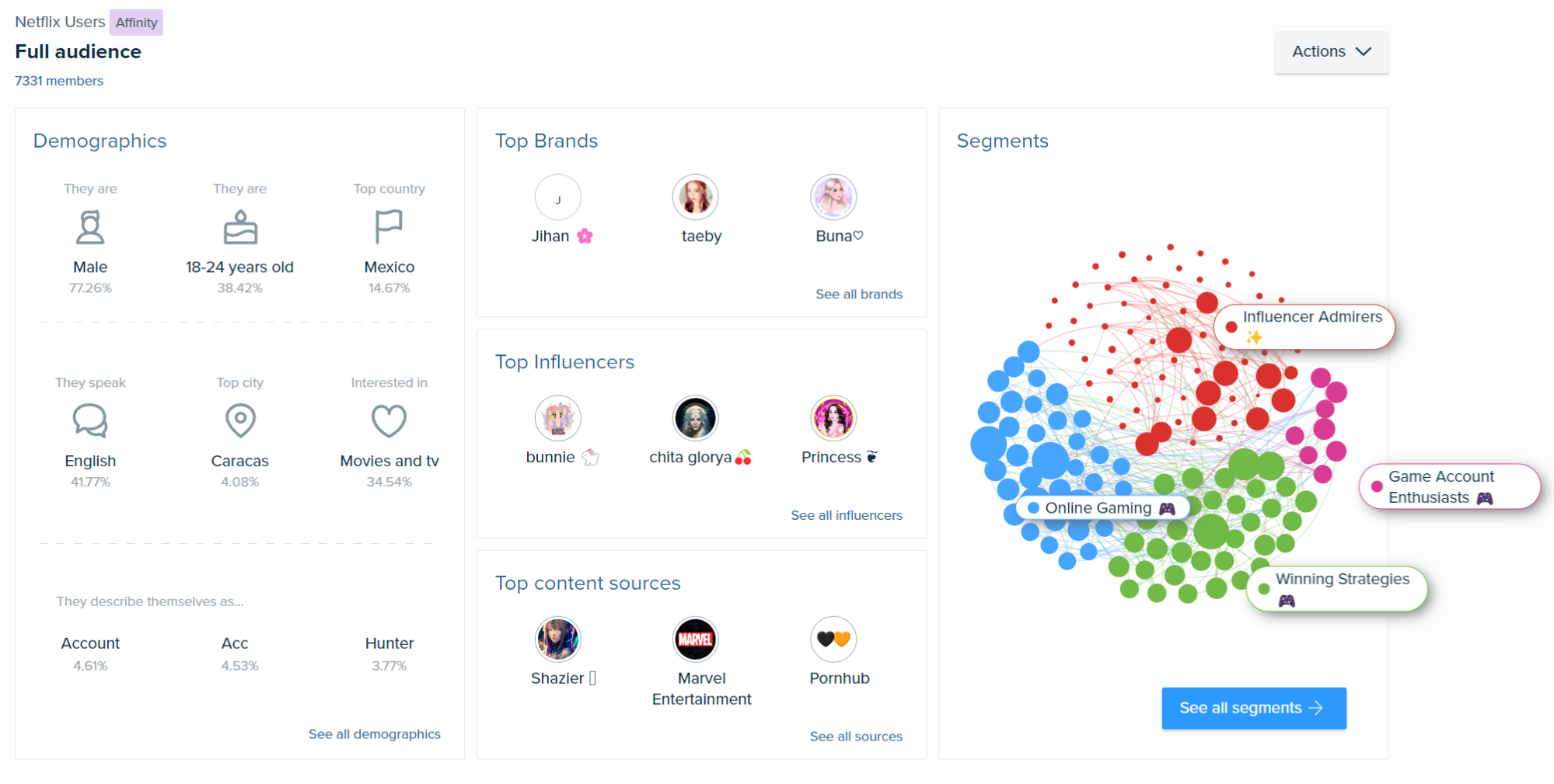 Audiense mostra una panoramica dei dati utente di Netflix, inclusi dati demografici, contenuti principali interessati e segmenti specifici