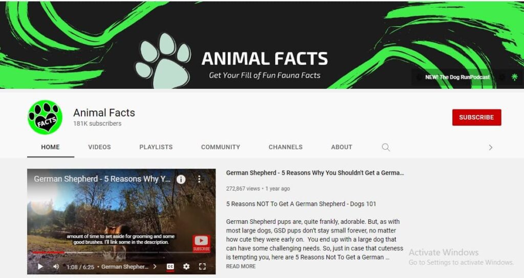 Canal de YouTube sin rostro de Datos sobre animales