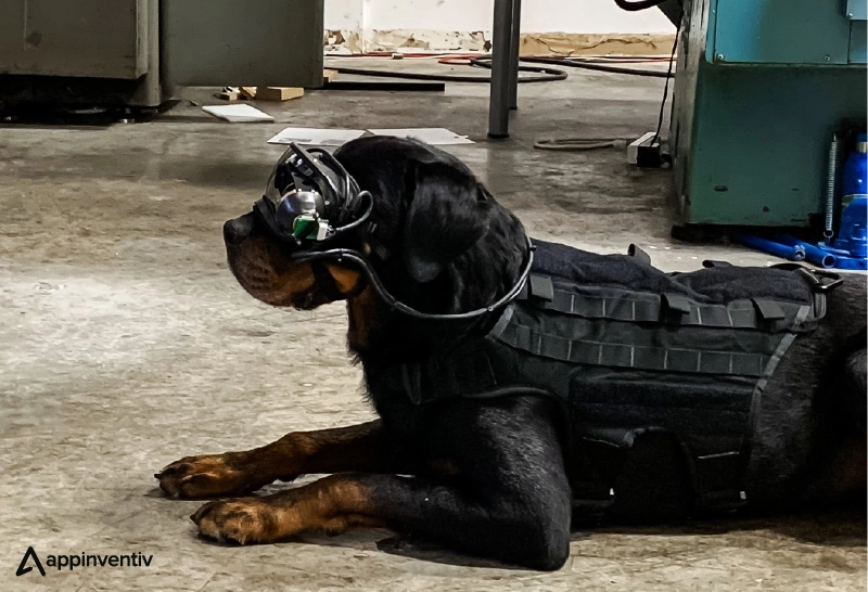 Military working dogs with augmented reality