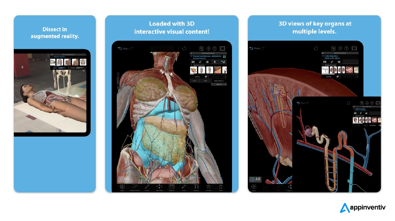 3D interactive visual content to learn about the human body