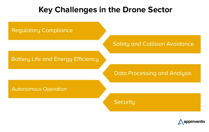 Key Challenges in the Drone Sector