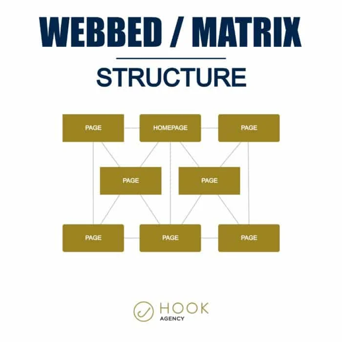 Exemple de structure palmée/matrice