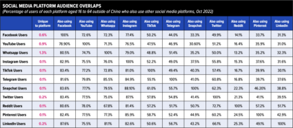 显示 TikTok 和其他社交平台上受众重叠的图表。