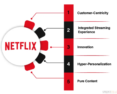 Netflix: Strategie de conținut și informații despre spectatori