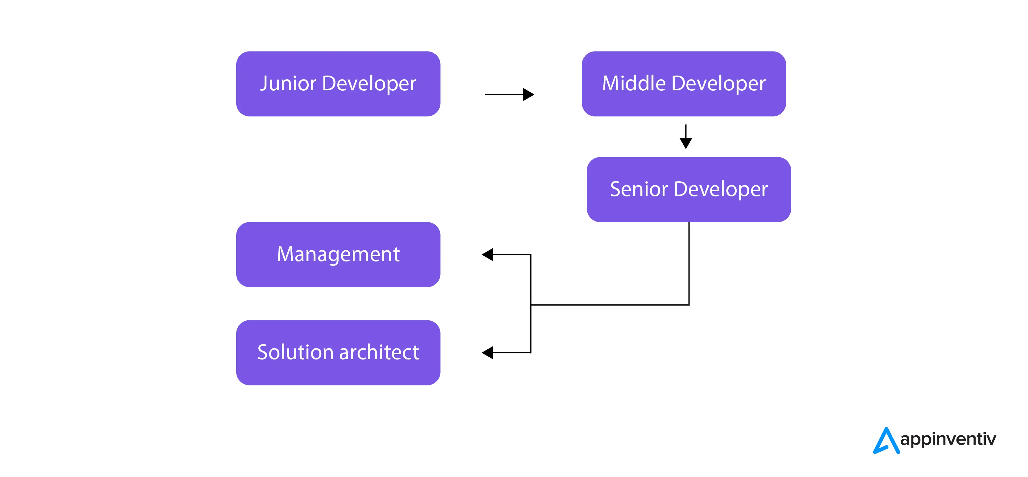 Solutions architects