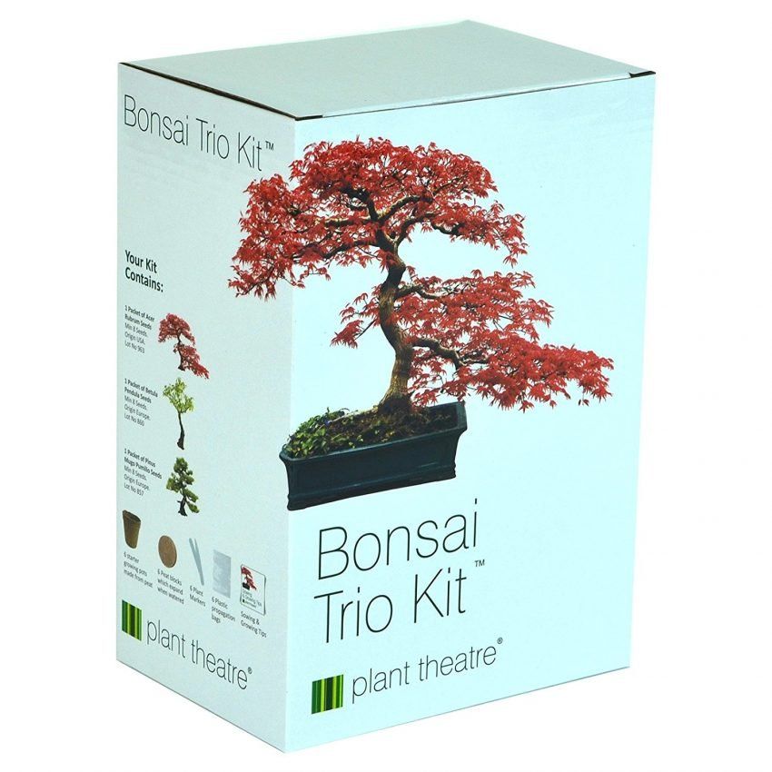 Bonsai Ağacı Seti