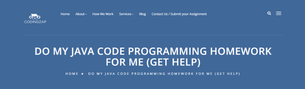 Codingzap - Java 作業幫助