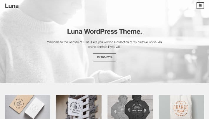 darmowe-wordpress-themes-luna