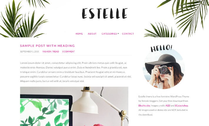 免费的wordpress-主题-estelle