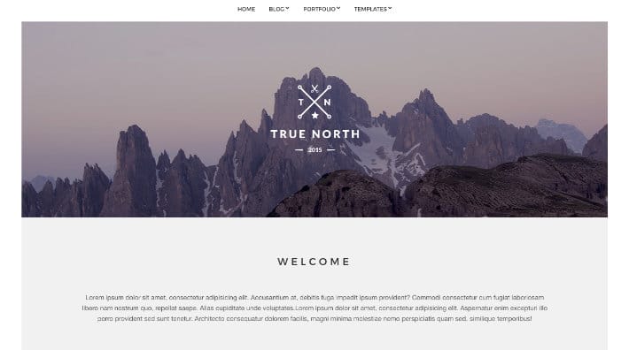 ücretsiz-wordpress-themes-truenorth