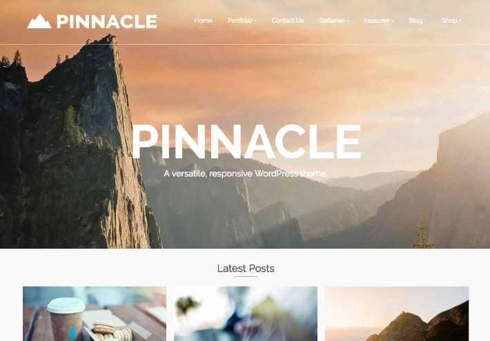 thèmes-wordpress-gratuits-pinnacle