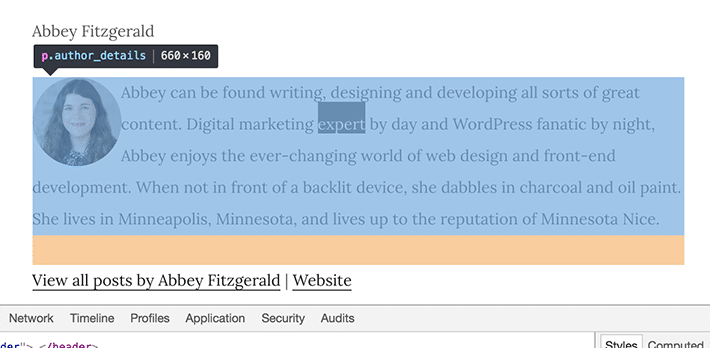 auteur-bio-wordpress-inspecter
