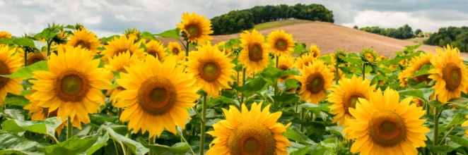 top-25-makaleler-stok fotoğrafları