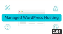 Tangkapan layar video hosting WordPress yang dikelola Flywheel di YouTube