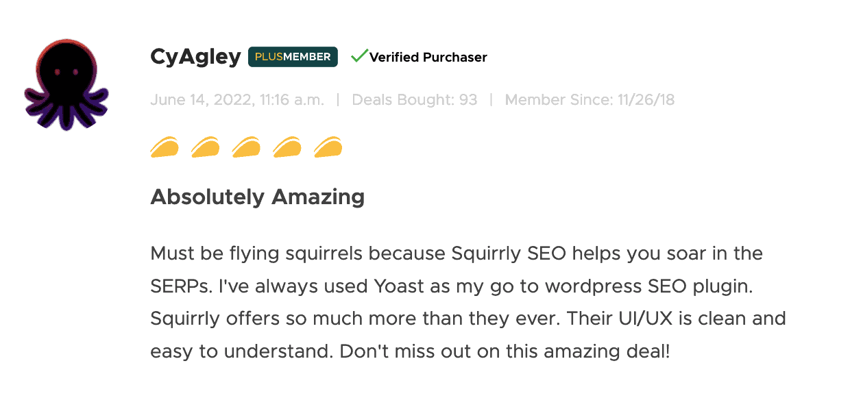 Recenzja Squirrly SEO